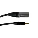 SAYPRO SA-C60-10FT Cable De Audio Plug Estéreo Mini a XLR Macho 3 mts.webp