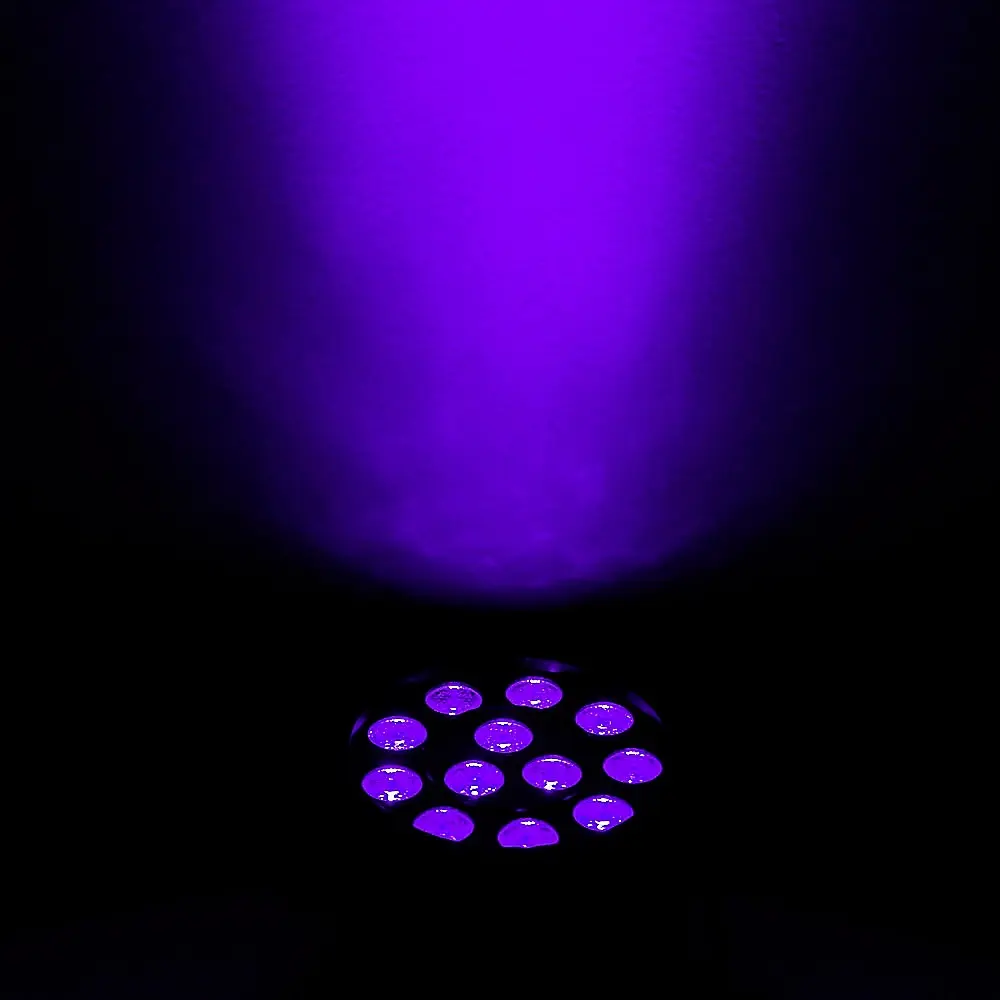 ADJ ELIMINATOR LIGHTINGS LUZ NEGRA EN MINIATURA 12W.webp