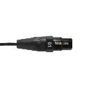 AUDIOSON AS-CXP5 Cable Snake 8 XLR Hembras a 8 Plug Estéreo TS 6.35mm 5MTS MMM.webp