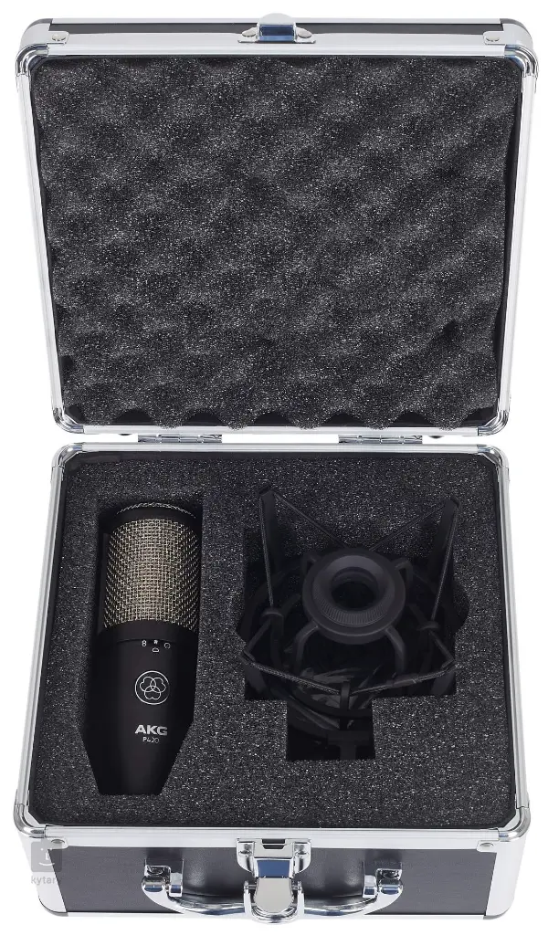 AKG-P420-5.webp
