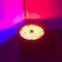 ADJ ELIMINATOR MEGA-GO-PAR-64E (1).webp